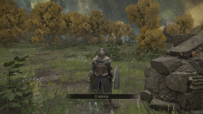 艾尔登法环武器排行怎么看2