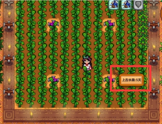 星露谷物语秋季种子怎么解锁1