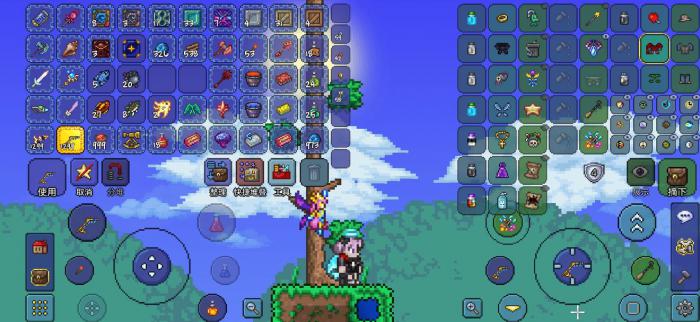 泰拉瑞亚怎么开启职业1