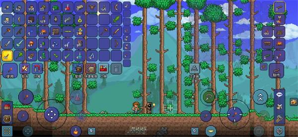 泰拉瑞亚怎么把土块变成草块1