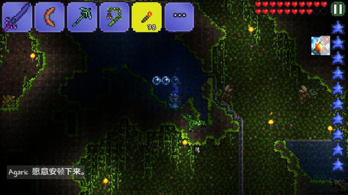 泰拉瑞亚狱岩矿石是什么3