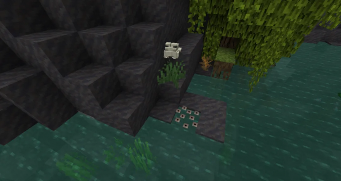 我的世界青蛙有什么用1