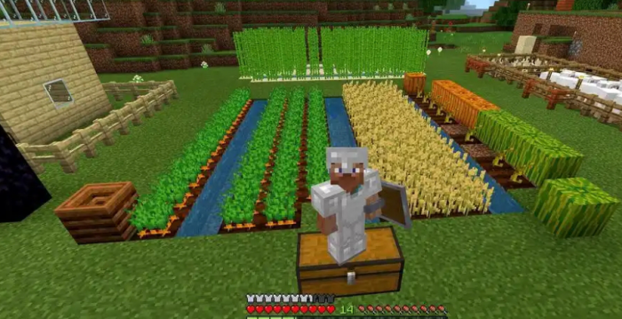 我的世界新手怎么获得食物3