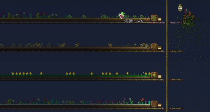 泰拉瑞亚丛林草种子怎么获得1