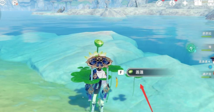 原神新手怎么搞莲蓬2