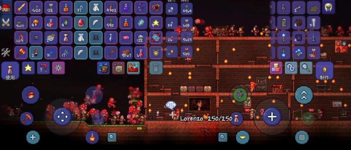 泰拉瑞亚怎么在晚上生存1