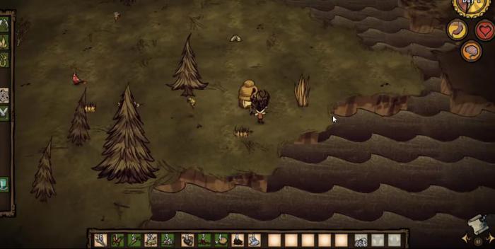 饥荒选什么角色厉害3