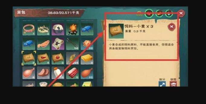 创造与魔法龟吃什么可以驯服1