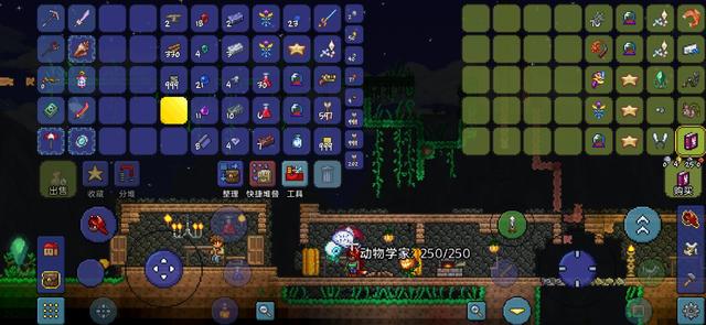 泰拉瑞亚该怎么发展2