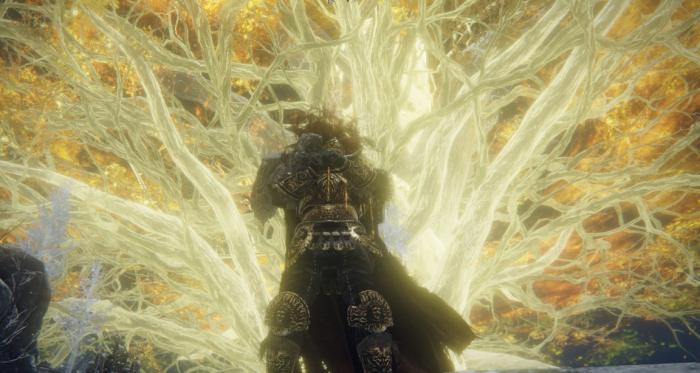 艾尔登法环人物加点有哪些机制1