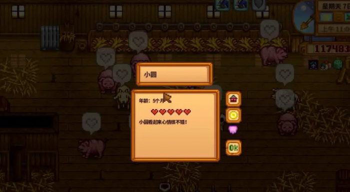 星露谷物语哪些可以增加动物心情值1