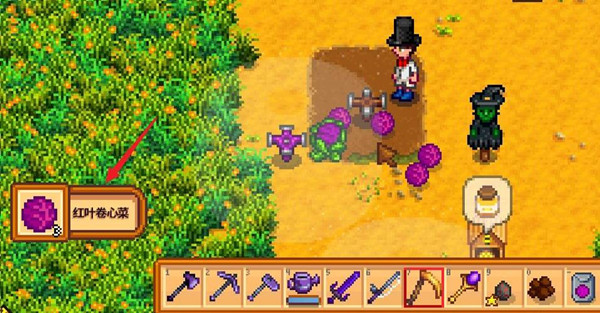 星露谷物语红叶卷心菜有哪些用途2