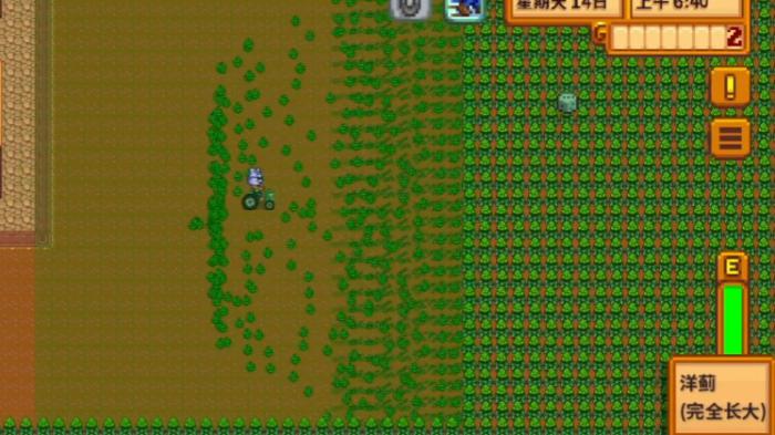 星露谷物语洋蓟有哪些特性1