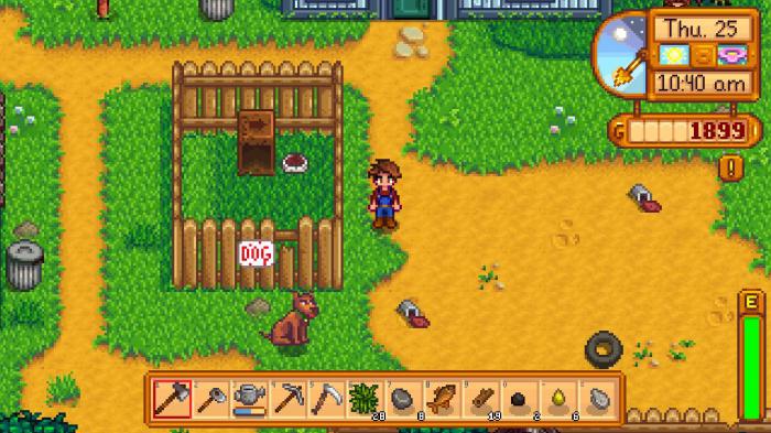 星露谷物语宠物怎么领养2