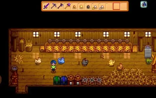 星露谷物语五种鸡怎么得2