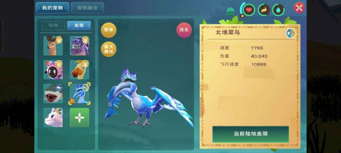 创造与魔法冰鸟怎么抓2