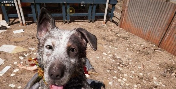 孤岛惊魂5秋末镇任务怎么做2