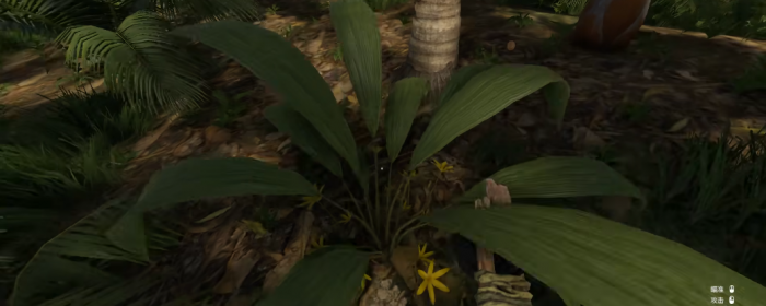 绿色地狱摔伤怎么治疗2