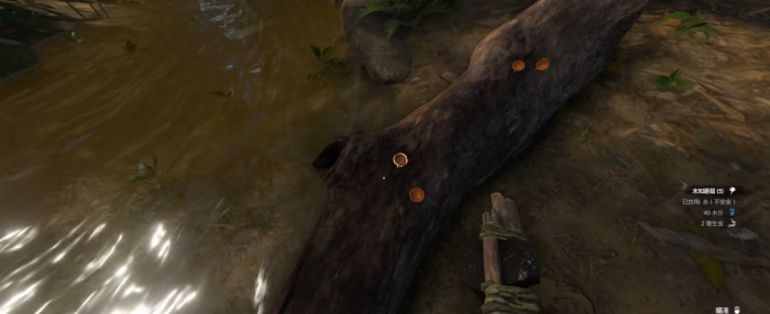 绿色地狱寄生虫病怎么治3