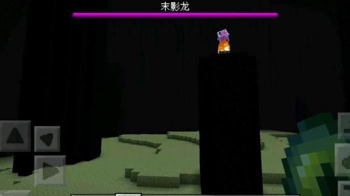 我的世界末影龙怎么打2