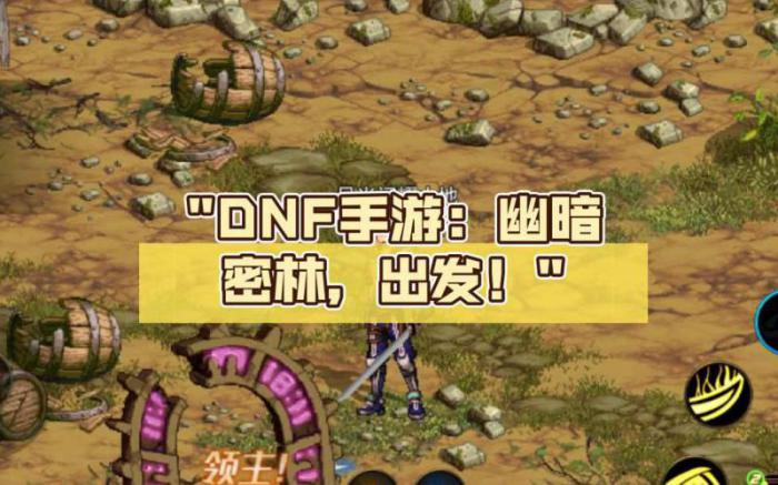 dnf冒险幽暗密林有多少阶段任务_地下城幽暗密林怎么那么难打