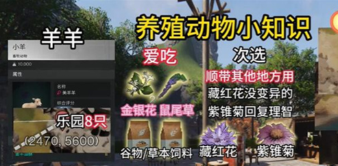 七日世界动物去哪里抓_七日间攻略