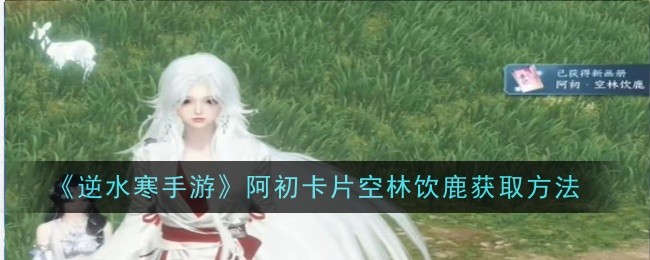 逆水寒手游阿初卡片空林饮鹿_逆水寒 阿琼