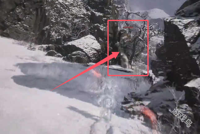 黑神话悟空地莲种子怎么获得3