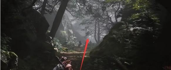 黑神话悟空苍狼林宝箱有几个3