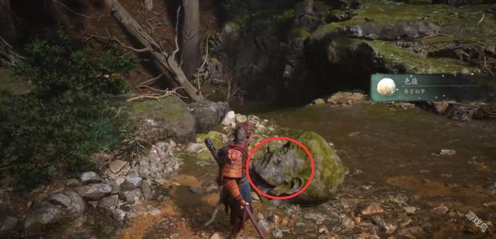 黑神话悟空色蕴用处是什么2