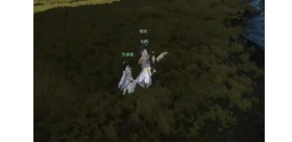 逆水寒手游亚丁格桑奇遇怎么完成2