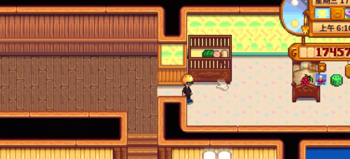 星露谷物语婚后怎么生孩子2