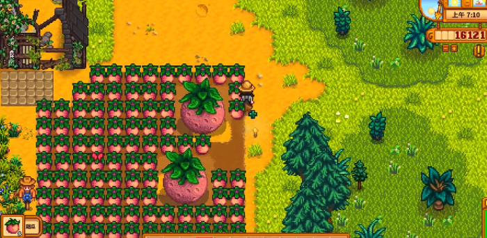 星露谷物语甜瓜怎么变成巨大作物3