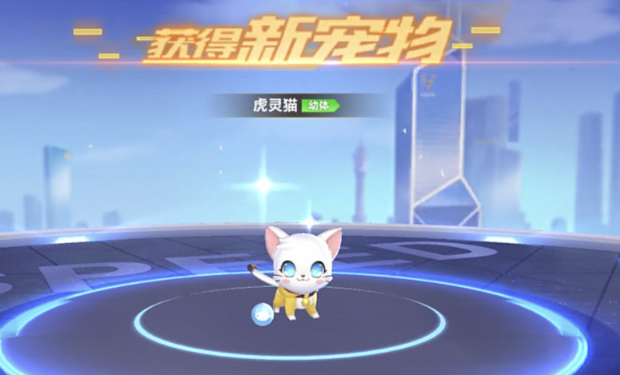 qq飞车许愿哪个宠物好1