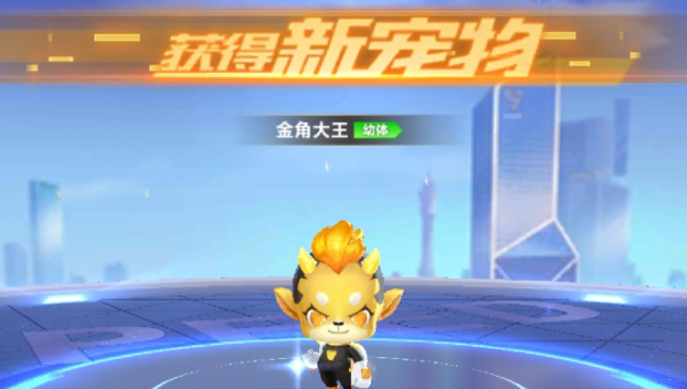 qq飞车许愿哪个宠物好2