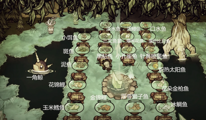 饥荒鱼缸怎么养鱼2