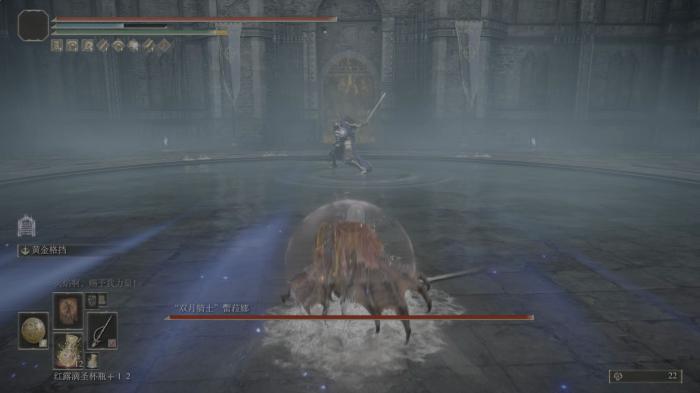 艾尔登法环盾戳用什么装备2