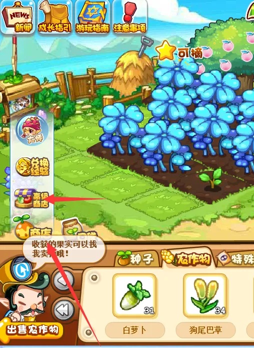 洛克王国苹果在哪里获得20263