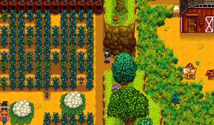 星露谷物语夏天种什么好1