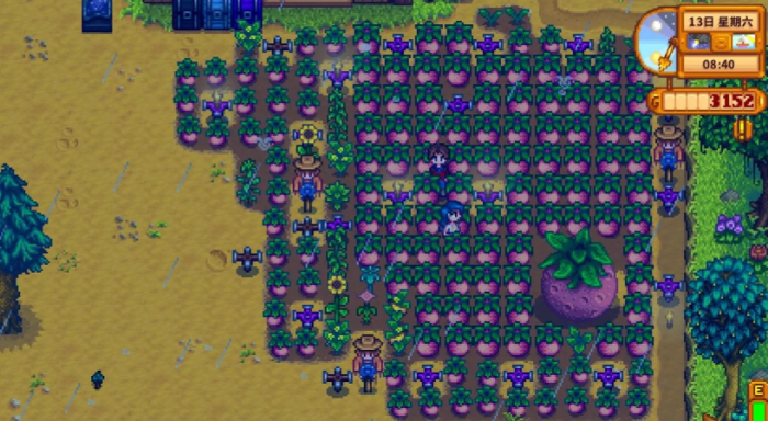 星露谷物语夏天种什么好2