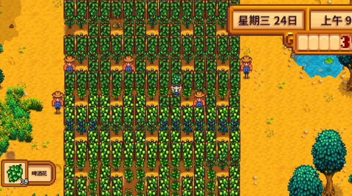 星露谷物语夏天种什么好3