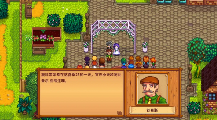 星露谷物语怎么可以结婚1