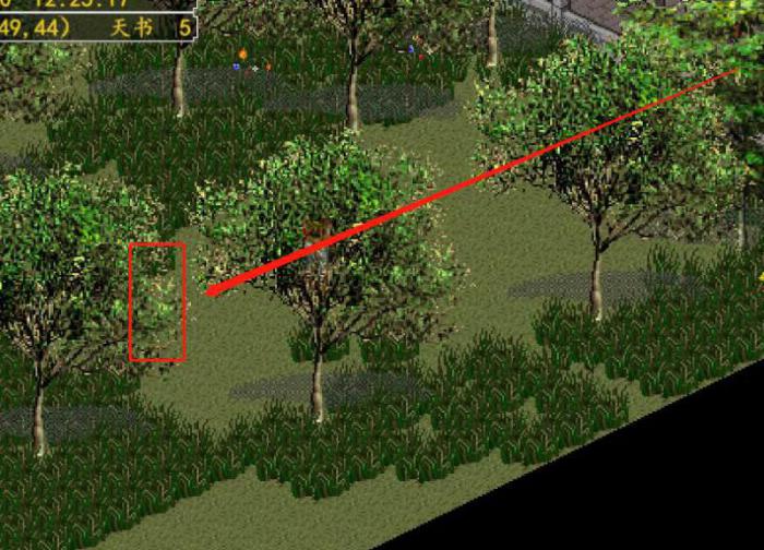 金庸群侠传3为啥入不了华山门_金庸群侠传3加入不了华山