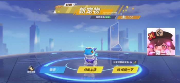 qq飞车手游哪个道具宠物最好用2