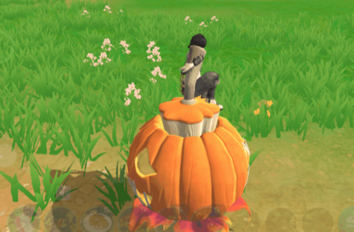 创造与魔法庆典南瓜坐骑能飞吗_创造与魔法庆典南瓜坐骑怎么进化