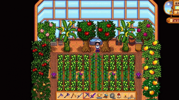 星露谷物语温室种什么2