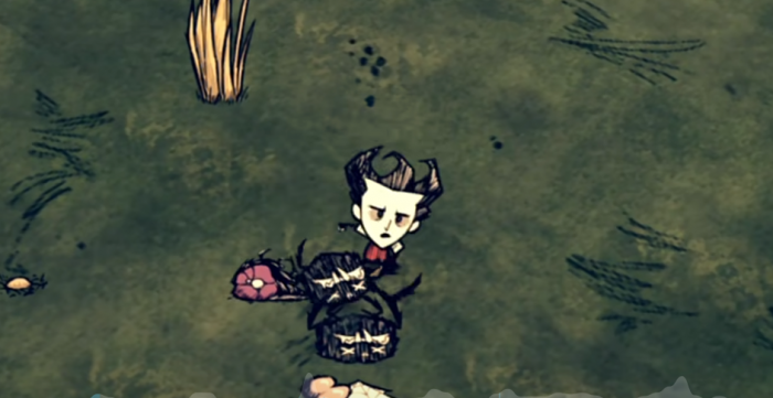 饥荒用什么建造房子2