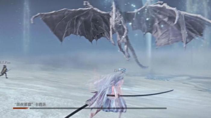 艾尔登法环冰龙_艾尔登法环冰龙弱什么