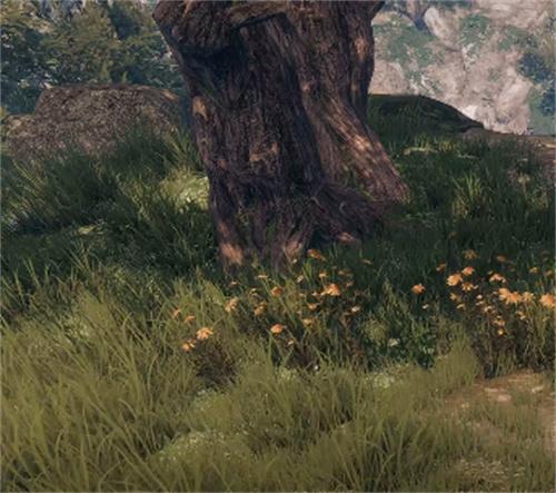 下一站江湖2松木怎么获取4