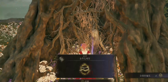 艾尔登法环金黄色编发在哪3